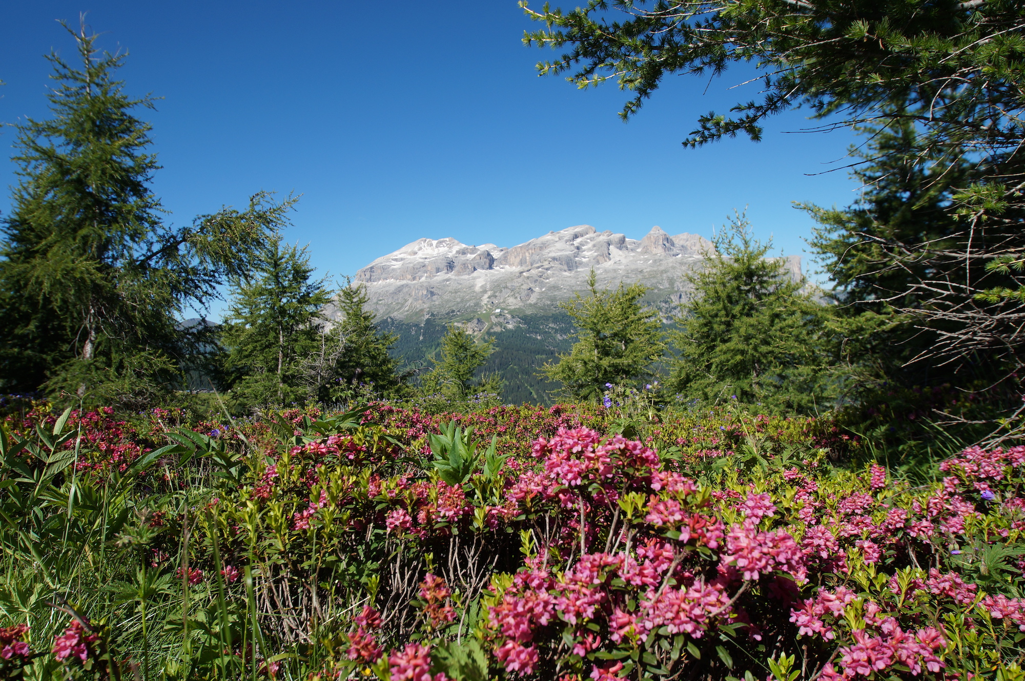 Boutique Hotel Dolomit Italy