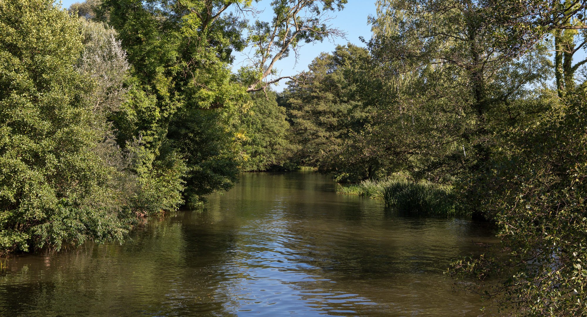 Brandenburg Spreewald Water Nature