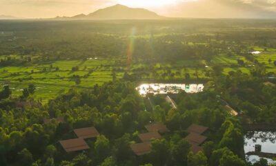 Farmhouse Smiling Gecko in Cambodia, Surroundings