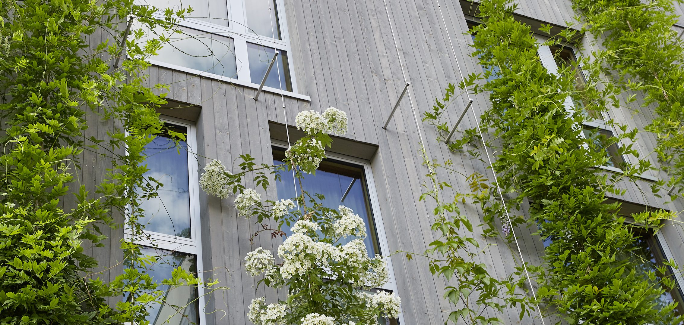 Green City Hotel Vauban Business