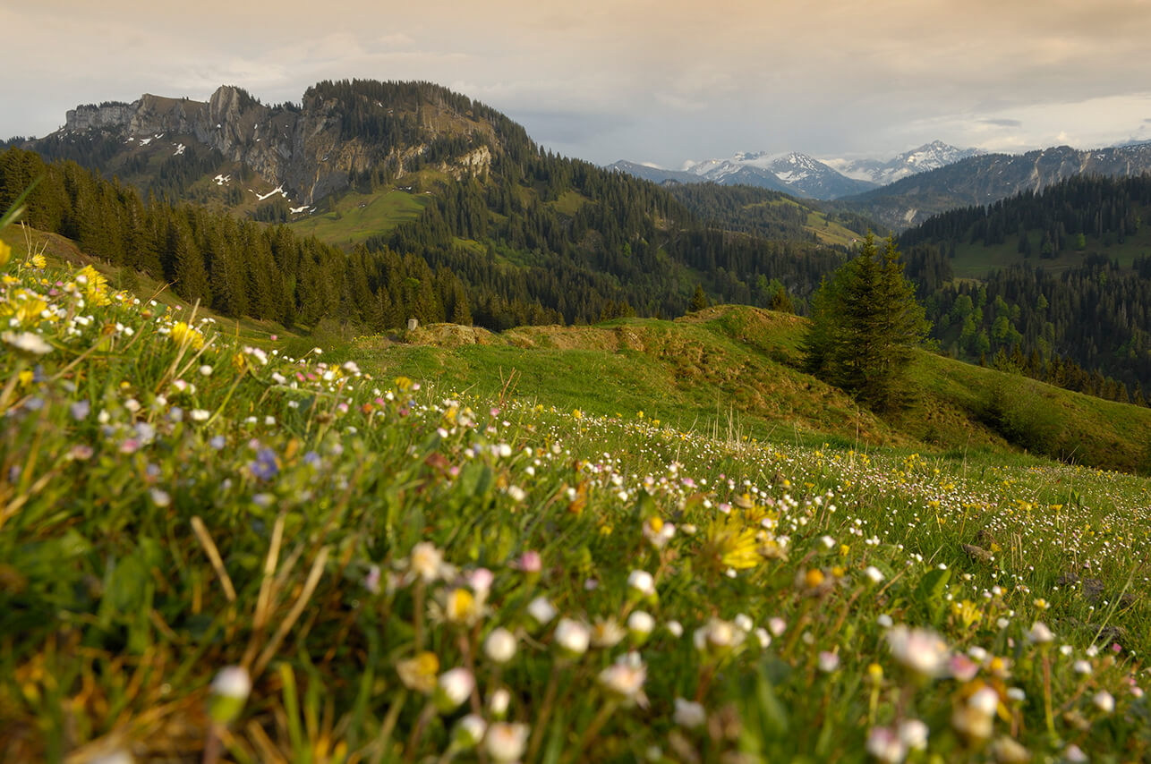 HUBERTUS Mountain Refugio Allgäu