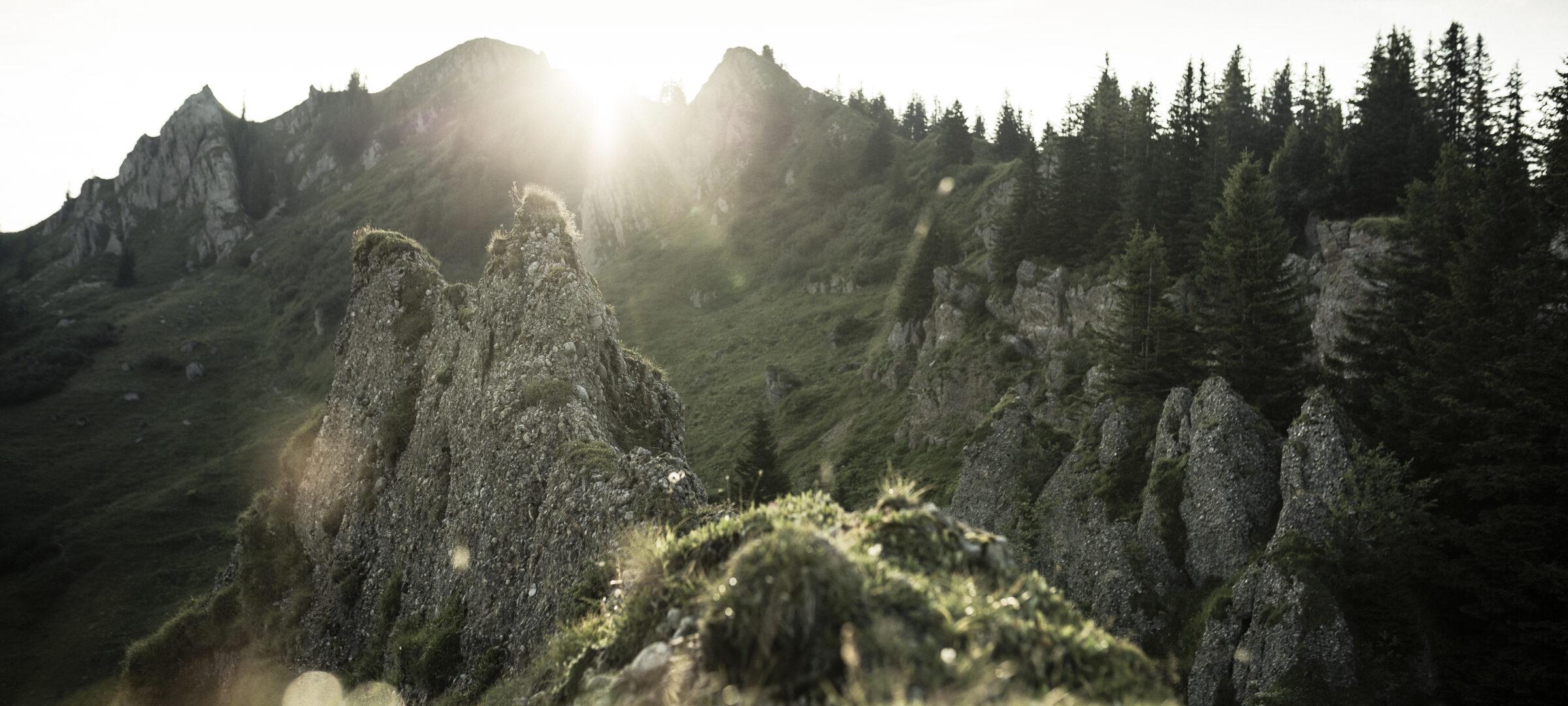 Blick in die Allgäuer Berge