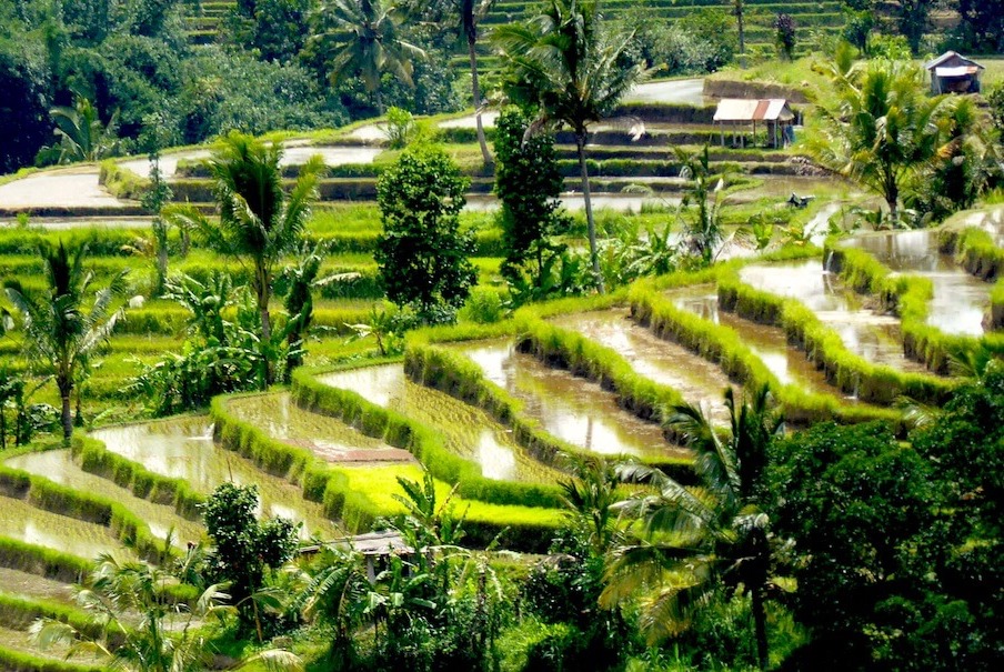 Puri Dajuma Cottages & Spa eco travel Bali