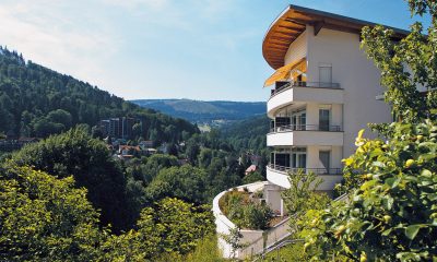 SCHWARZWALD PANORAMA.